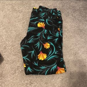 Lularoe leggings Tall & Curvy-13 pairs